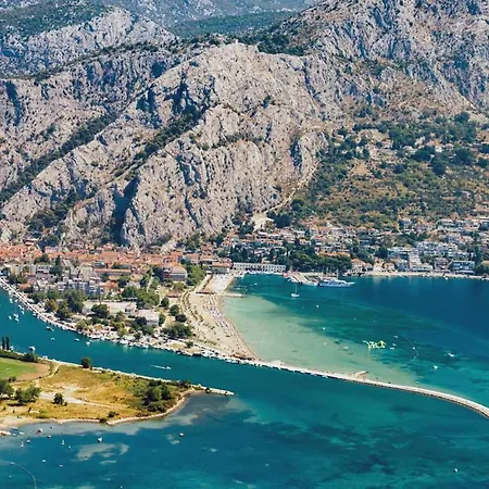 Judita Omis